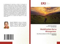 Modélisation De La Rhizogenèse kitap kapağı