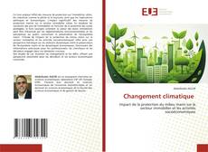 Changement climatique kitap kapağı