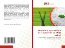 Diagnostic agronomique de la culture de riz (Oriza sativa) kitap kapağı