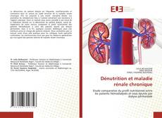 Dénutrition et maladie rénale chronique kitap kapağı