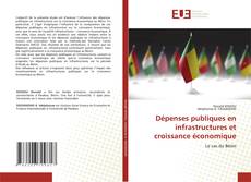 Bookcover of Dépenses publiques en infrastructures et croissance économique