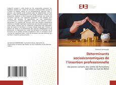 Bookcover of Déterminants socioéconomiques de l’insertion professionnelle