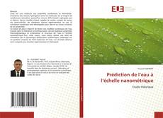 Bookcover of Prédiction de l’eau à l’échelle nanométrique