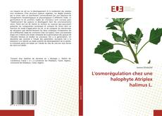 Capa do livro de L'osmorégulation chez une halophyte Atriplex halimus L. 
