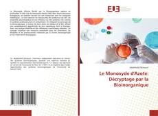 Le Monoxyde d'Azote: Décryptage par la Bioinorganique kitap kapağı