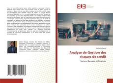 Buchcover von Analyse de Gestion des risques de crédit