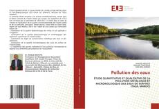 Copertina di Pollution des eaux