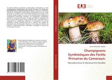 Champignons Symbiotiques des Forêts Primaires du Cameroun:的封面