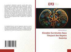 Bookcover of Glandes Surrénales Sous l'Impact des Rayons Gamma