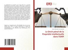 Le Droit pénal de la Propriété intellectuelle dans l'OAPI kitap kapağı