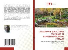 GEOGRAPHIE SOCIALE DES PRATIQUES ET REPRESENTATIONS DE L'ESPACE kitap kapağı