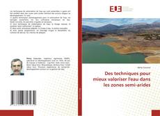 Bookcover of Des techniques pour mieux valoriser l'eau dans les zones semi-arides