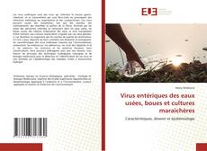 Copertina di Virus entériques des eaux usées, boues et cultures maraichères