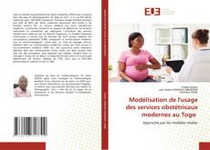 Bookcover of Modélisation de l'usage des services obstétricaux modernes au Togo