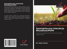 Обложка Synergistyczna interakcja Rhizobium/PGPR