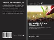 Couverture de Interacción sinérgica Rhizobia/PGPR