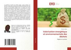 Copertina di Valorisation énergétique et environnementale des déchets