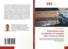 Portada del libro de Interactions entre inondations et maladies liées à l’eau au Tchad