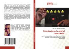 Buchcover von Valorisation du capital immatériel