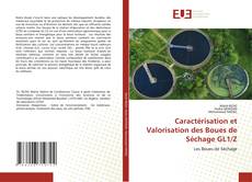 Portada del libro de Caractérisation et Valorisation des Boues de Séchage GL1/Z