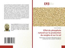 Borítókép a  Effet du phosphate naturel sur la production du sorgho et sur le sol - hoz