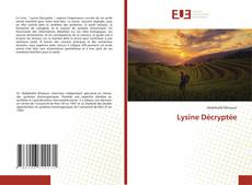 Bookcover of Lysine Décryptée