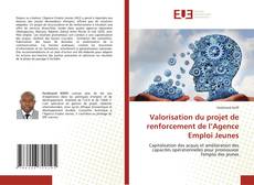 Valorisation du projet de renforcement de l’Agence Emploi Jeunes kitap kapağı