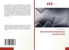 Copertina di Quand la bioinorganique sonde le p53