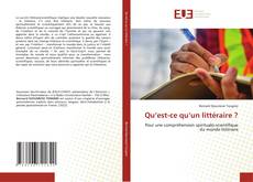 Bookcover of Qu’est-ce qu’un littéraire ?