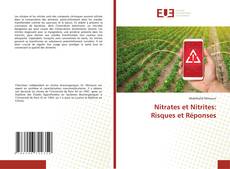 Bookcover of Nitrates et Nitrites: Risques et Réponses