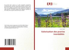 Bookcover of Valorisation des prairies inondables