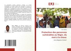 Bookcover of Protection des personnes vulnérables au Niger, du mot à la chose: