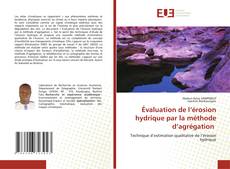 Bookcover of Évaluation de l’érosion hydrique par la méthode d’agrégation