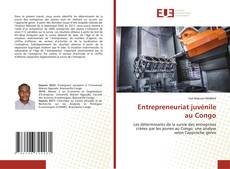 Bookcover of Entrepreneuriat juvénile au Congo