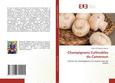 Couverture de Champignons Cultivables du Cameroun