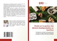 Copertina di Étude sur la gestion des déchets biodégradables au Sud-Kivu