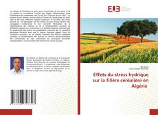 Copertina di Effets du stress hydrique sur la filière céréalière en Algérie