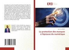 La protection des marques à l'épreuve du numérique kitap kapağı