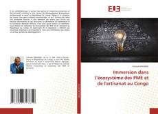 Copertina di Immersion dans l’écosystème des PME et de l'artisanat au Congo