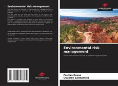 Copertina di Environmental risk management
