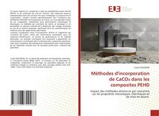 Copertina di Méthodes d'incorporation de CaCO₃ dans les composites PEHD