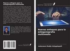 Copertina di Nuevos enfoques para la esteganografía multimedia