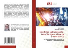 Capa do livro de Excellence opérationnelle : Lean Six Sigma à l’ère de l’Industrie 4.0 