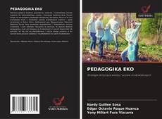Обложка PEDAGOGIKA EKO