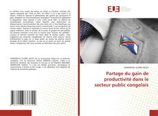 Copertina di Partage du gain de productivité dans le secteur public congolais