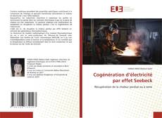 Copertina di Cogénération d’électricité par effet Seebeck