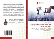 Gestion du risque fiscal au sein des PME的封面