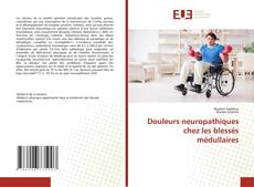 Douleurs neuropathiques chez les blessés médullaires的封面