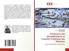 Production des Microplastiques et Transfert Trophique des Phtalates的封面