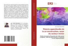 Théorie approfondie de la co-construction, essor du secteur minier kitap kapağı